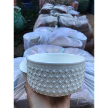Chậu sen đá sứ tròn trắng